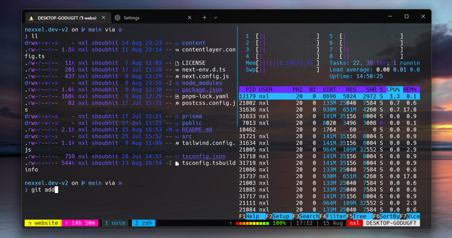 Screenshot of my terminal