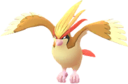 10 Pidgeot Mega Energy