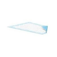 Attends Healthcare #UFS-236, Underpad Light Absorb Dri-Sorb 23x36 10/Bg, 15 BG/CA Image Attends Healthcare #UFS-236, Underpad Light Absorb Dri-Sorb 23x36 10/Bg, 15 BG/CA Image