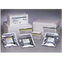 BD  #Probetec, ProbeTec CT/GC Swab Sample Dry Diluent 1/PK Image BD  #Probetec, ProbeTec CT/GC Swab Sample Dry Diluent 1/PK Image