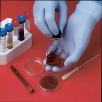 Best Manufacturing #7005PFS, GLOVE, PWDER-FREE, EXAM, N-DEX, 4-MIL, 9.5", S, 2000 EA/CS, 20 BX/CS Image Best Manufacturing #7005PFS, GLOVE, PWDER-FREE, EXAM, N-DEX, 4-MIL, 9.5", S, 2000 EA/CS, 20 BX/CS Image