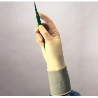 Cardinal Health #2D72PL55X, GLOVE, SURG, PROTEXIS, PI, CLASSC, 5.5, PF, SYN, 200 PR/CS, 4 BX/CS Image