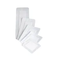 Deroyal #46-003-1, Covaderm Island Dressing, 4" x 8": Advanced Wound Care for Optimal Healing, 25/CS Image Deroyal #46-003-1, Covaderm Island Dressing, 4" x 8": Advanced Wound Care for Optimal Healing, 25/CS Image