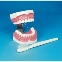 Hager Worldwide #355636, Model Brush-N-Floss W/XL Brush XL-Tbrsh Ea Image