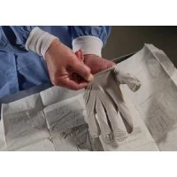 Halyard Health #53130, GLOVE, EXAM, STERLING, STERILE, PF, SM, PAIR, 200 PR/CS Image