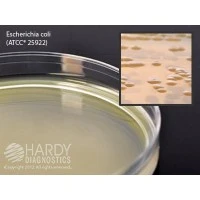 Hardy Diagnostics #W15, BHI (BRAIN HEART INFUSION) AGAR, 10/PK Image Hardy Diagnostics #W15, BHI (BRAIN HEART INFUSION) AGAR, 10/PK Image