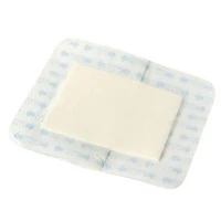 Medline #MSC2603, DRESSING, SURESITE-123+PAD, 2.4 x 2.8" (6.1 x 7.1 cm), 1.3 x 1.6" (3.3 x 4.1 cm) Pad, 400 EA/CS, 4 BX/CS Image Medline #MSC2603, DRESSING, SURESITE-123+PAD, 2.4 x 2.8" (6.1 x 7.1 cm), 1.3 x 1.6" (3.3 x 4.1 cm) Pad, 400 EA/CS, 4 BX/CS Image