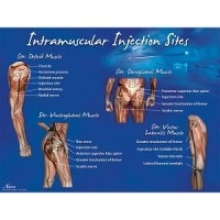 Nasco #LF00694U, SET, INJECTION SITE, INTRAMUSCULAR, EACH Image Nasco #LF00694U, SET, INJECTION SITE, INTRAMUSCULAR, EACH Image