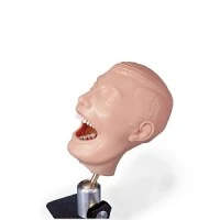 Nasco #SB23464U, MANIKIN, DENTAL CHAIR, EACH Image Nasco #SB23464U, MANIKIN, DENTAL CHAIR, EACH Image