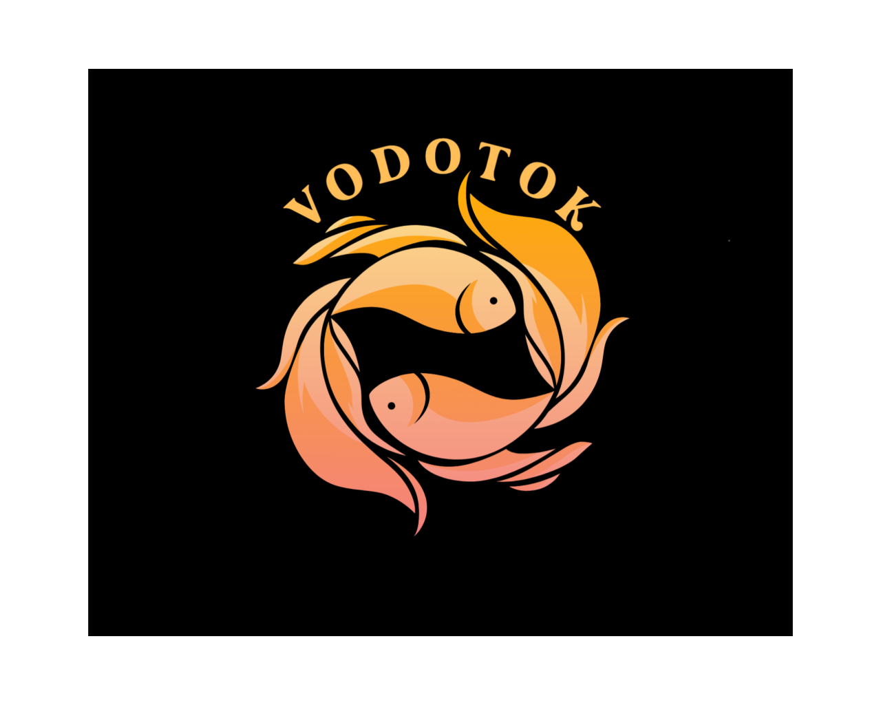 VodoTok Store logo