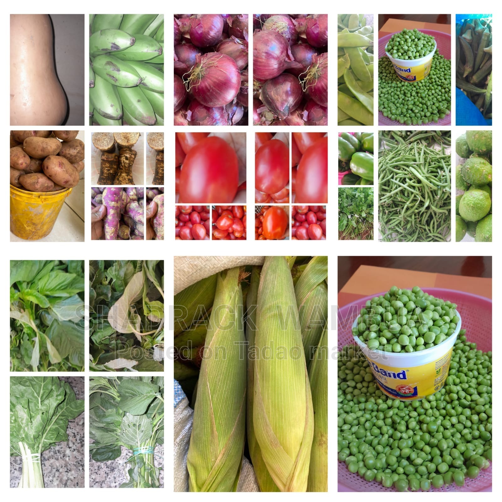 Fresh farm groceries 3