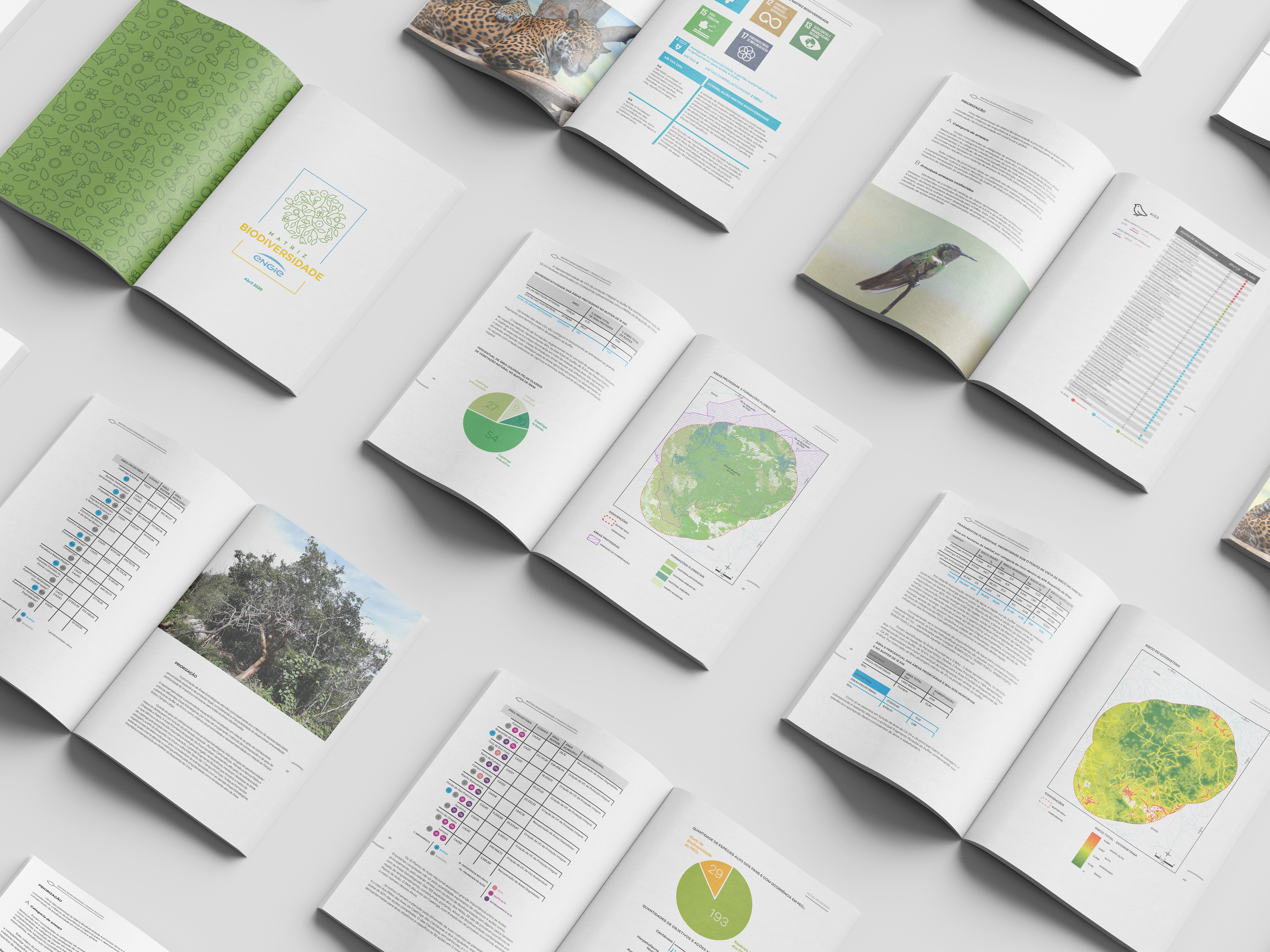 Identidade visual e Projeto Editorial de Relatório Executivo Matriz
da
Biodiversidade - Imagem 5