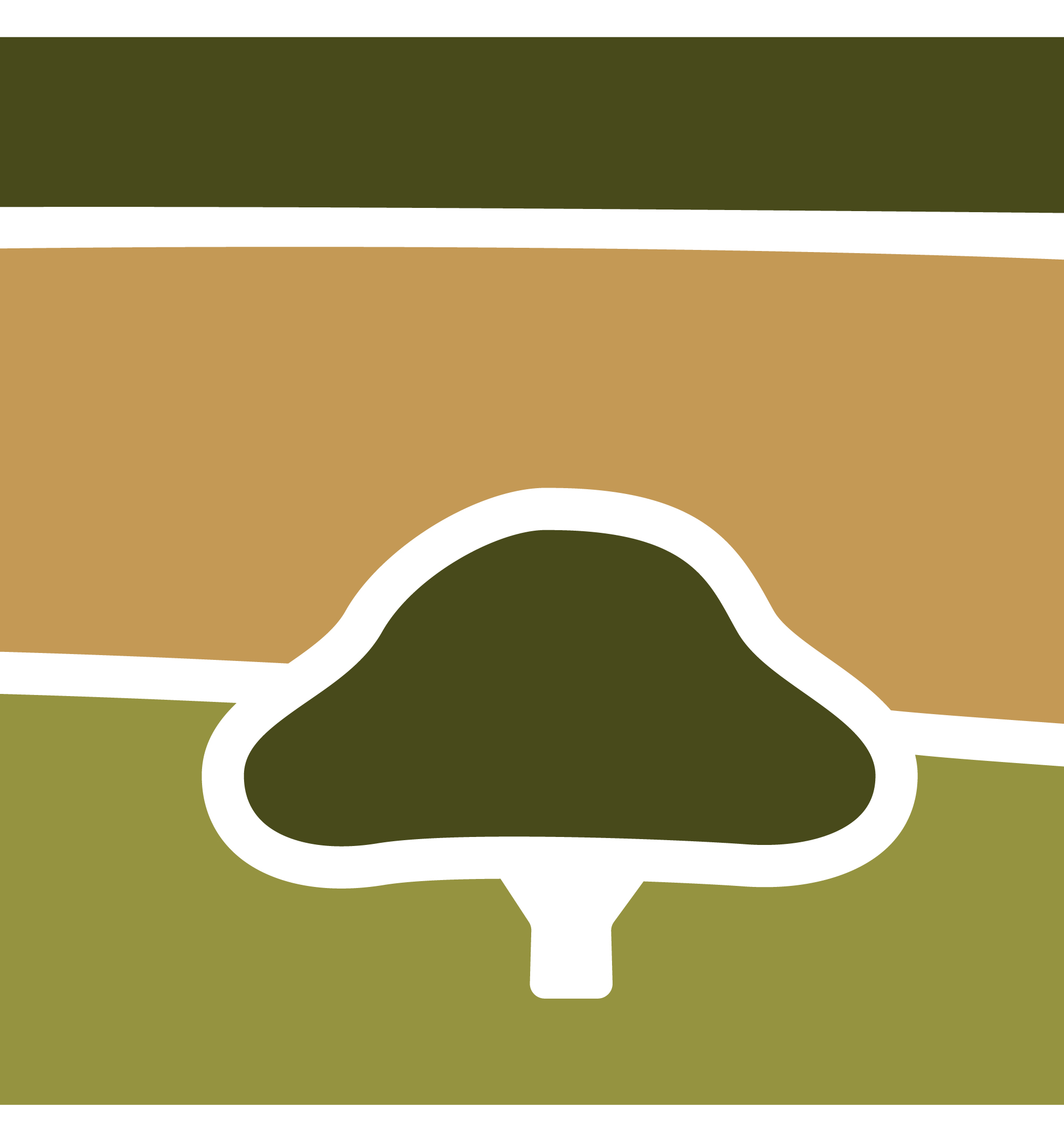 Identidade visual Plano de Ação Territorial Campanha Sul e Serra do
Sudeste - Imagem 7