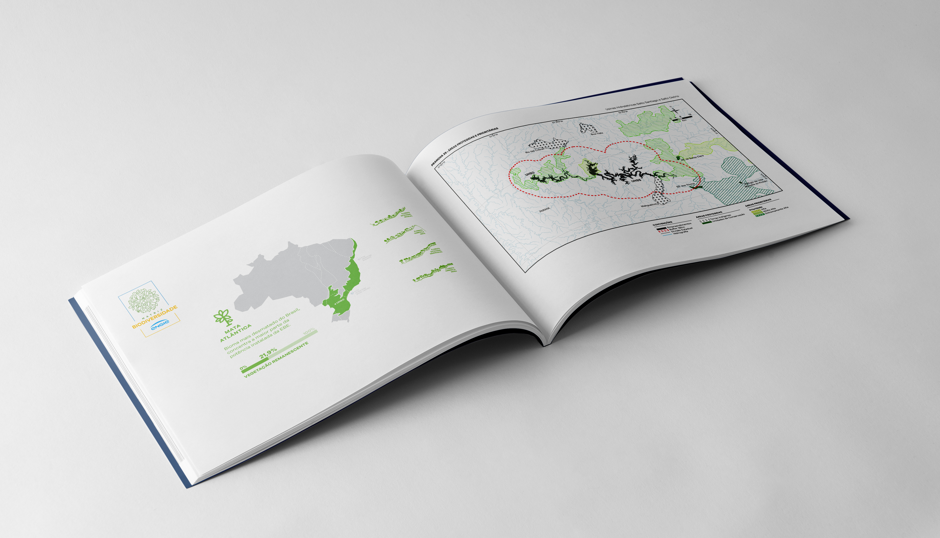 Identidade visual e Projeto Editorial de Relatório Executivo Matriz
da
Biodiversidade - Imagem 9