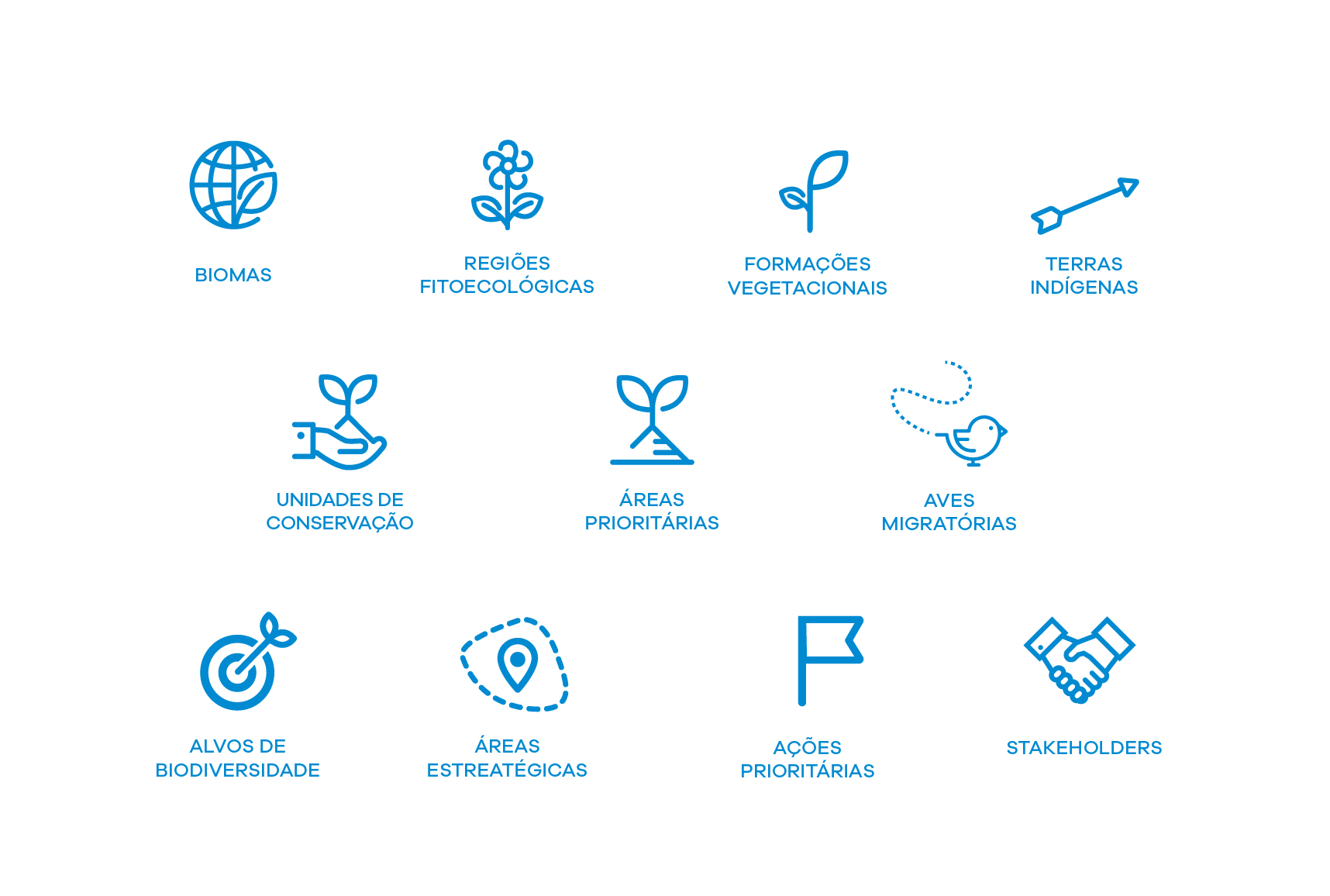 Identidade visual e Projeto Editorial de Relatório Executivo Matriz
da
Biodiversidade - Imagem 6
