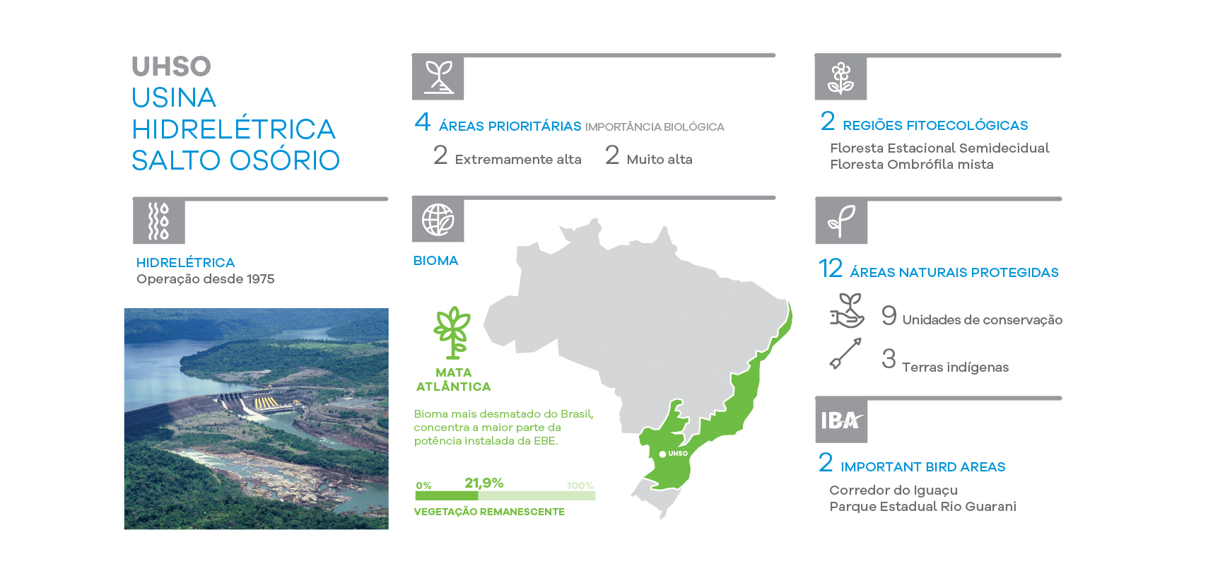Identidade visual e Projeto Editorial de Relatório Executivo Matriz
da
Biodiversidade - Imagem 3