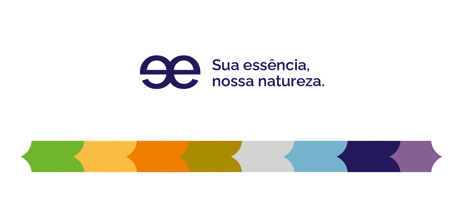 Identidade Visual e Projeto de Embalagens - Imagem 3