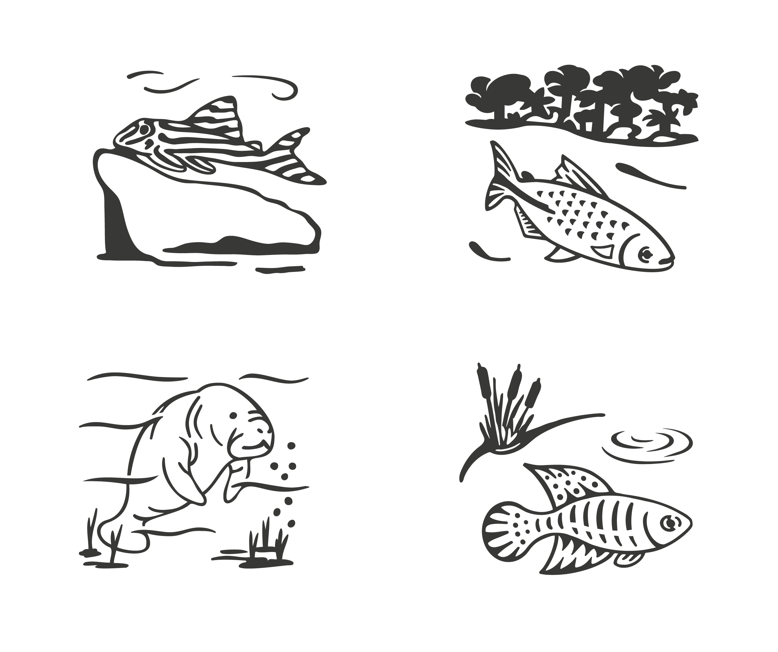 Identidade Visual do Plano de Ação Nacional para conservação de
espécies ameaçadas de extinção, PAN e SISPAN. - Imagem 10