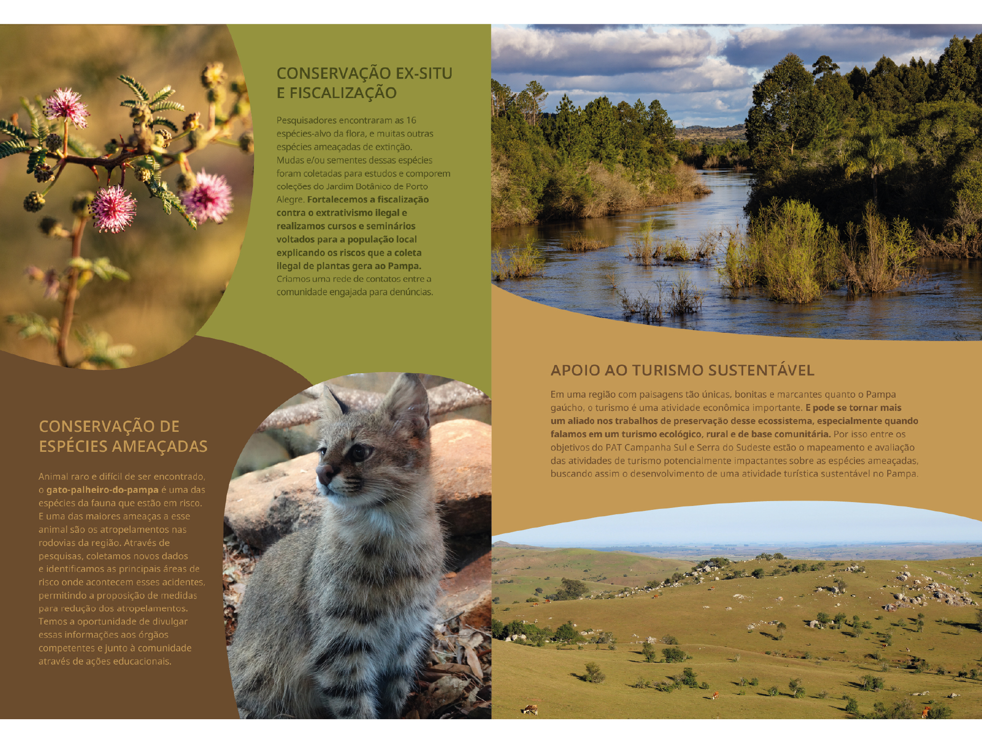 Identidade visual Plano de Ação Territorial Campanha Sul e Serra do
Sudeste - Imagem 6