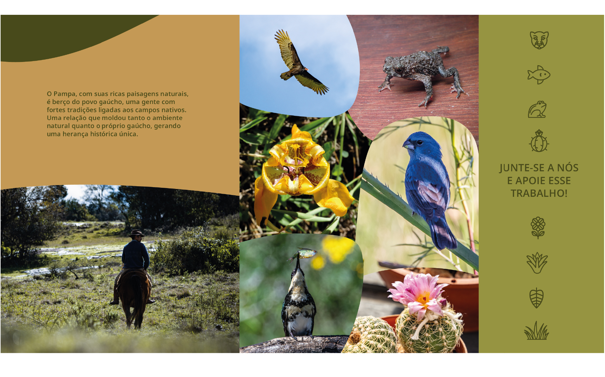 Identidade visual Plano de Ação Territorial Campanha Sul e Serra do
Sudeste - Imagem 8