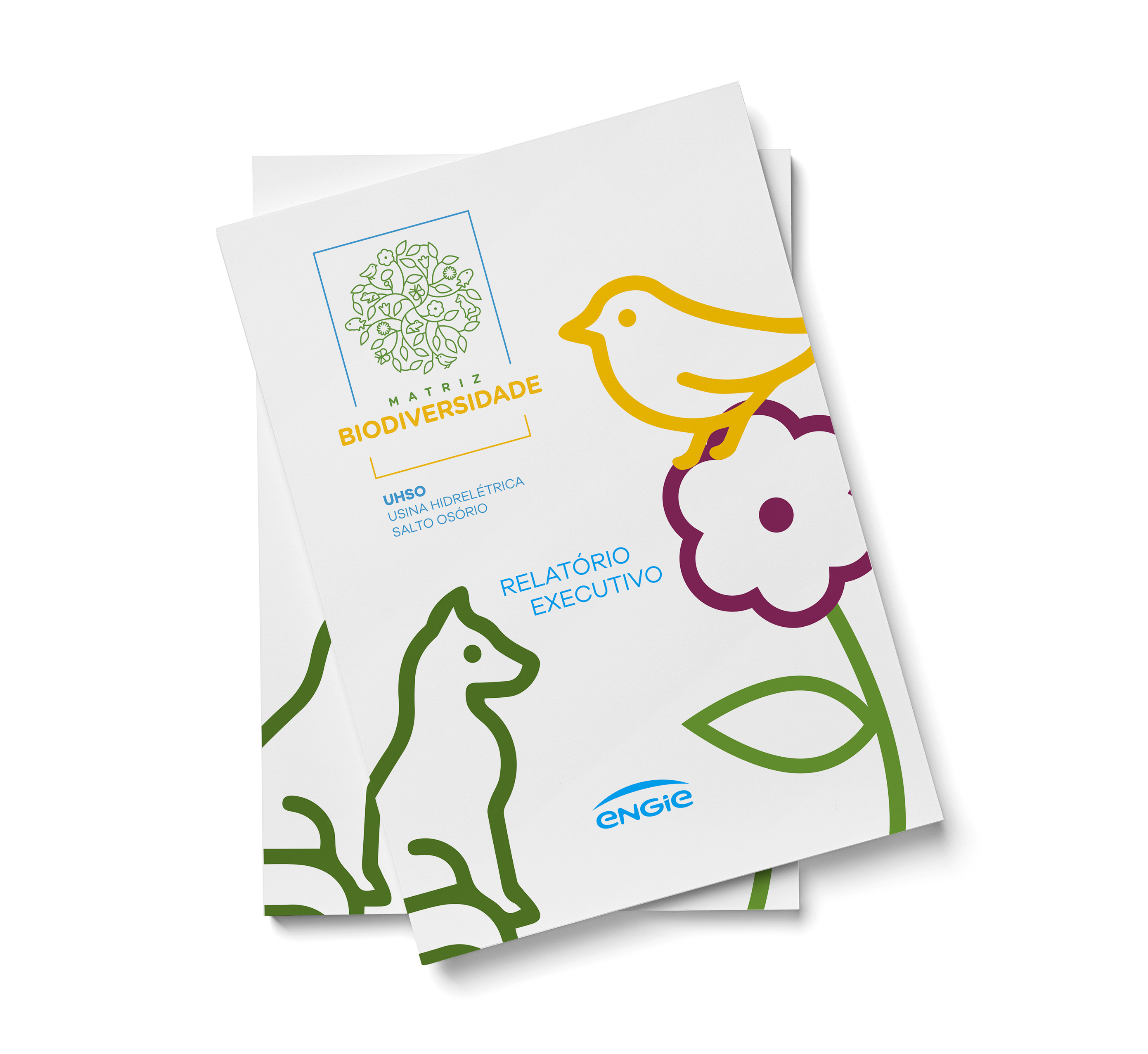 Identidade visual e Projeto Editorial de Relatório Executivo Matriz
da
Biodiversidade - Imagem 4