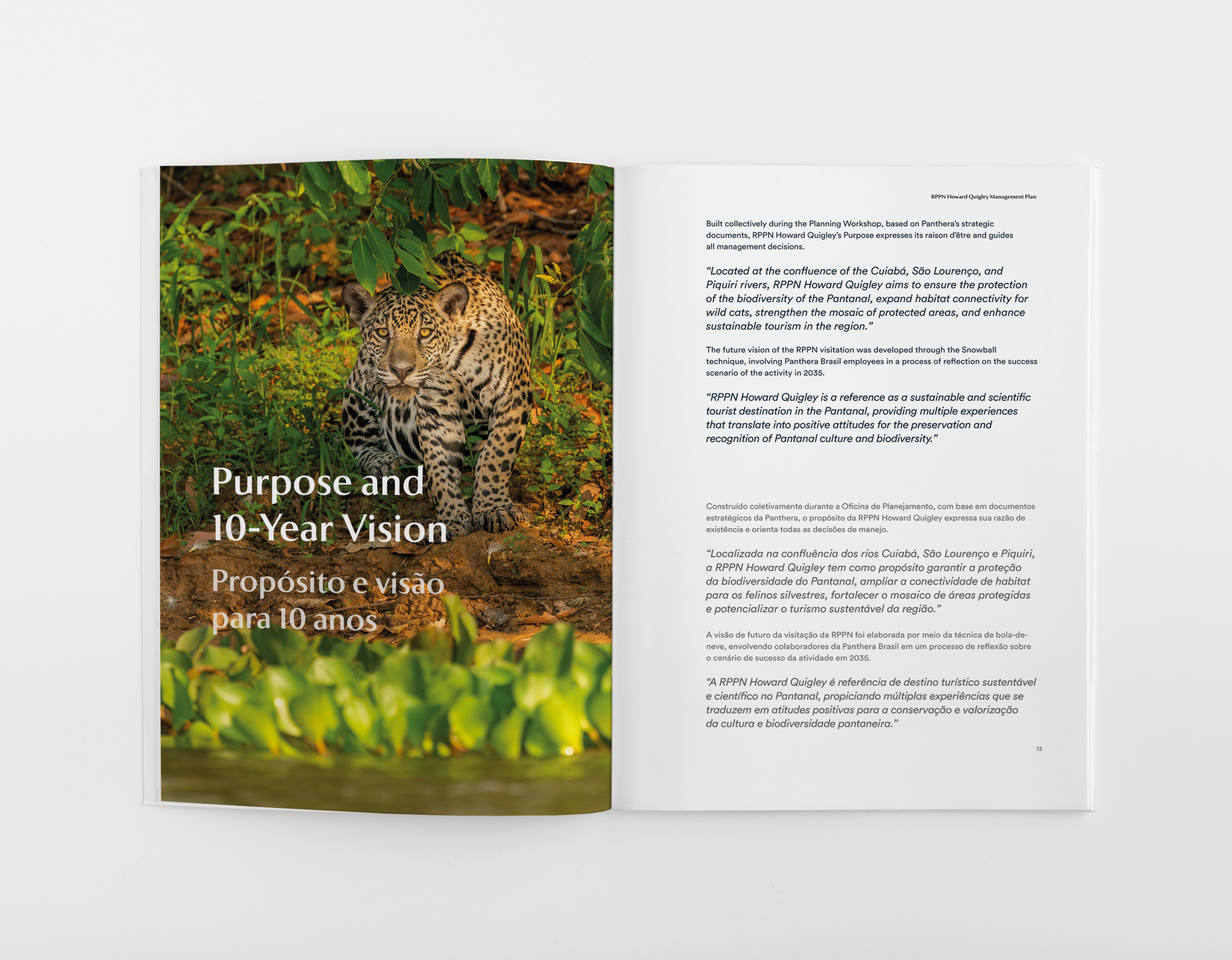 Panthera - Imagem 4