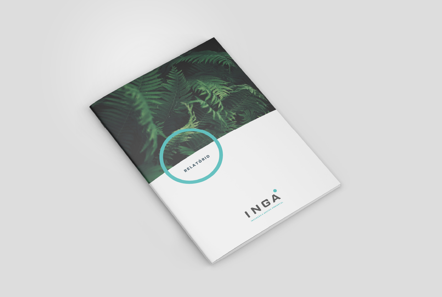 Inga - Imagem 10