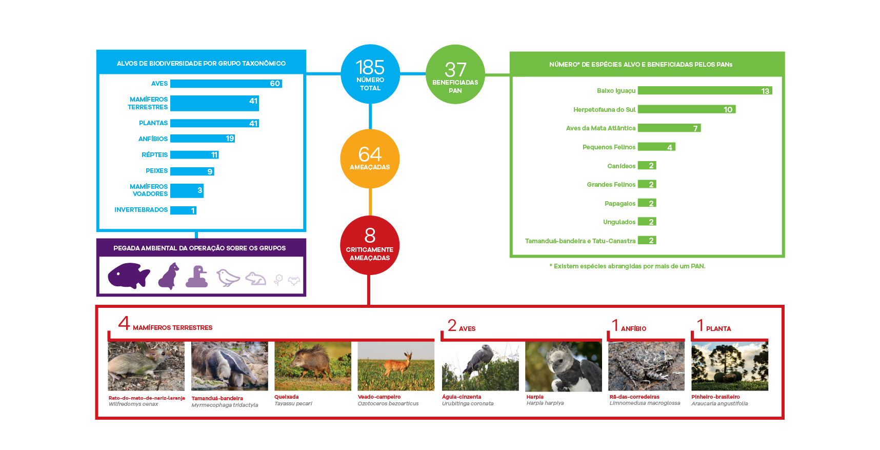 Identidade visual e Projeto Editorial de Relatório Executivo Matriz
da
Biodiversidade - Imagem 7