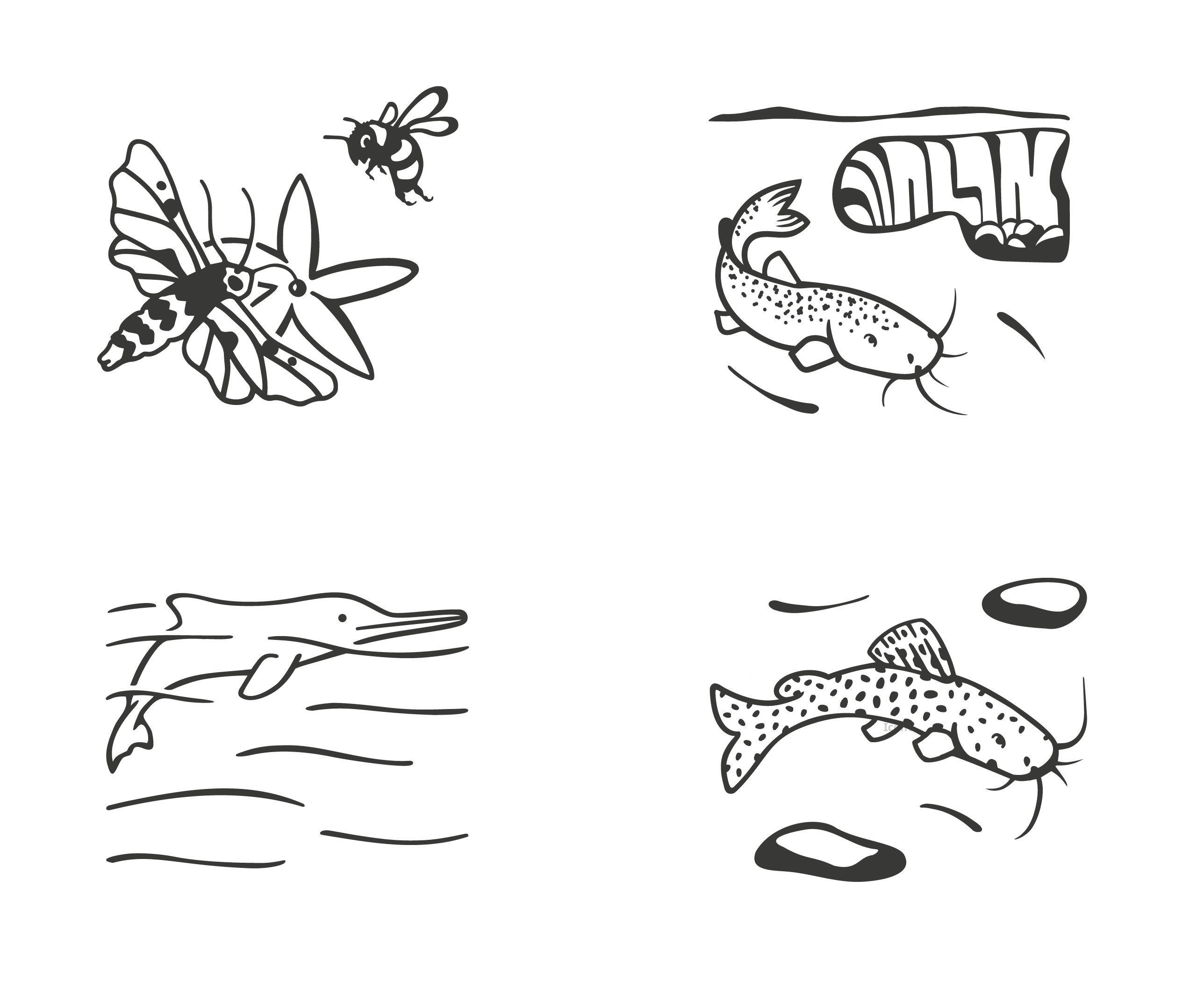 Identidade Visual do Plano de Ação Nacional para conservação de
espécies ameaçadas de extinção, PAN e SISPAN. - Imagem 12