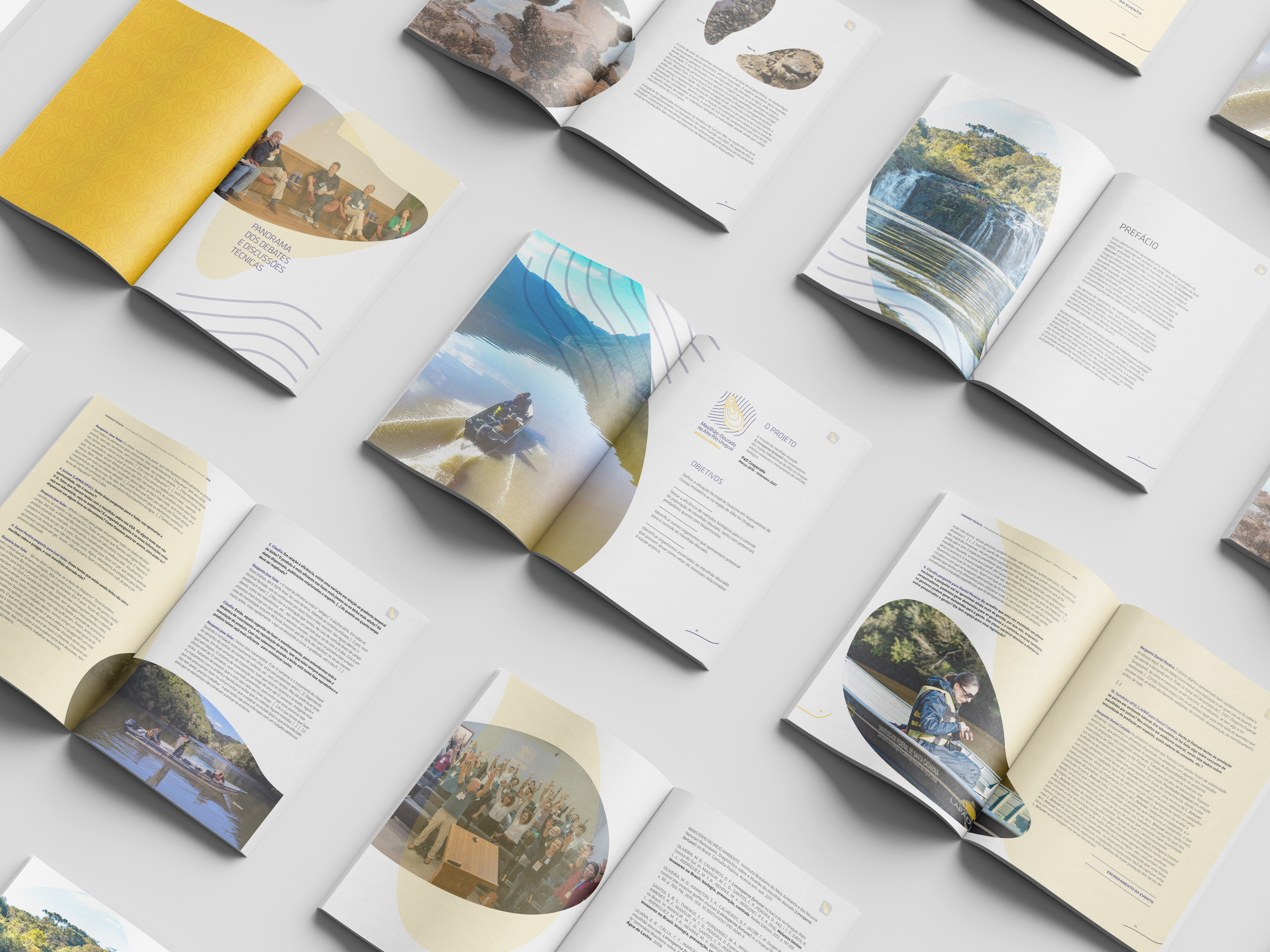 Identidade Visual e Projeto editorial Mexilhão Dourado - Imagem 5