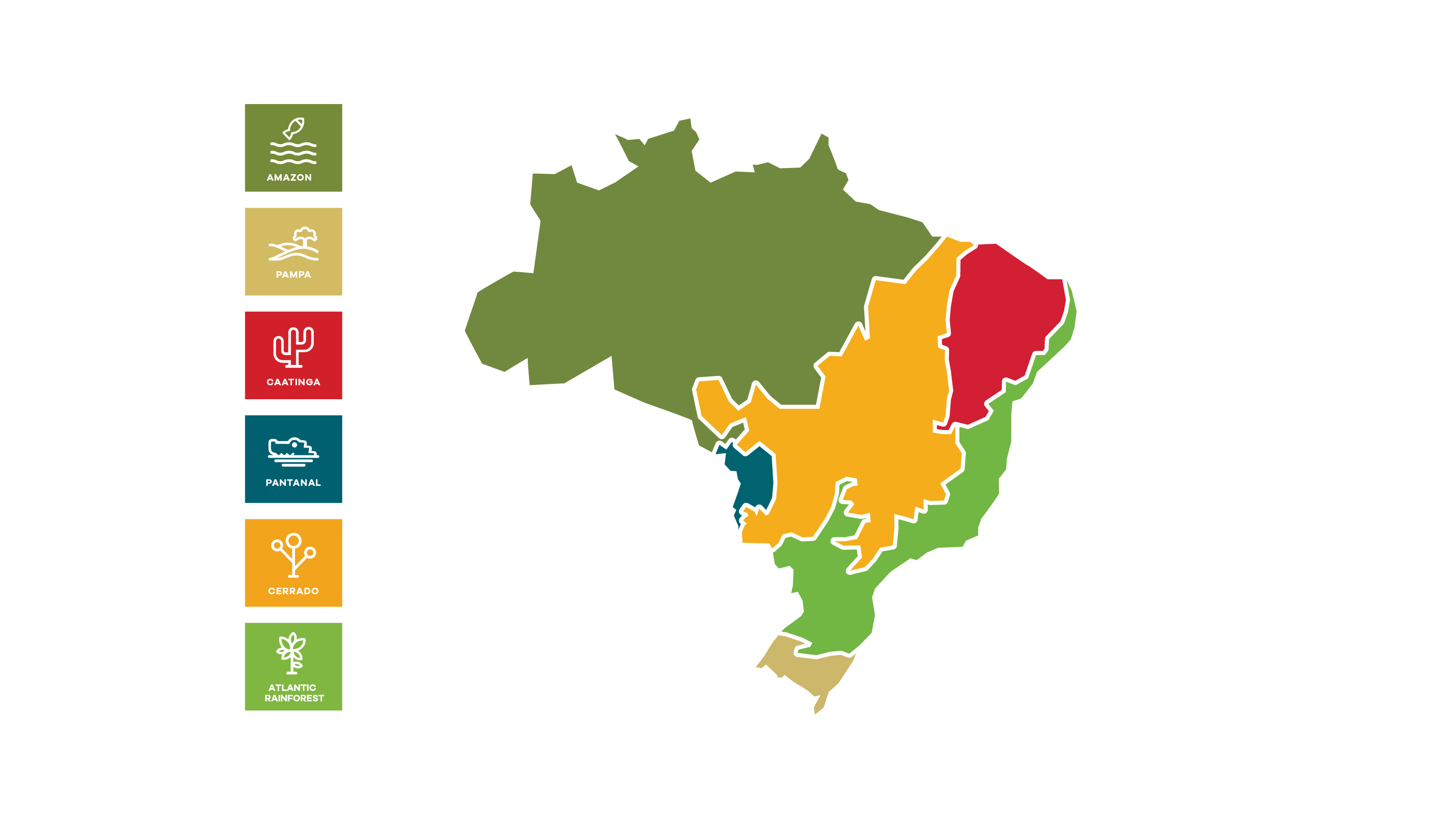 Identidade visual e Projeto Editorial de Relatório Executivo Matriz
da
Biodiversidade - Imagem 2