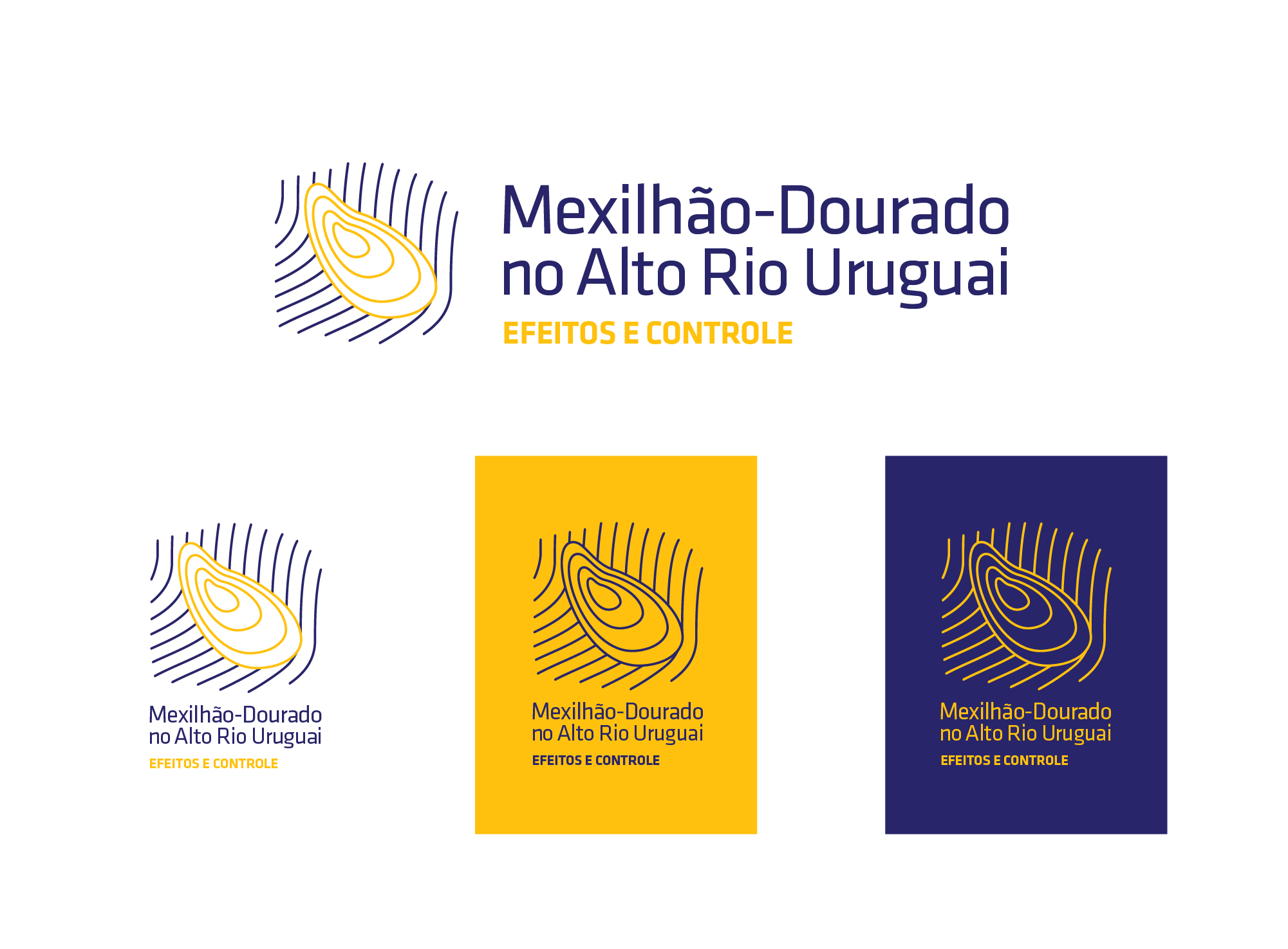 Identidade Visual e Projeto editorial Mexilhão Dourado - Imagem 2
