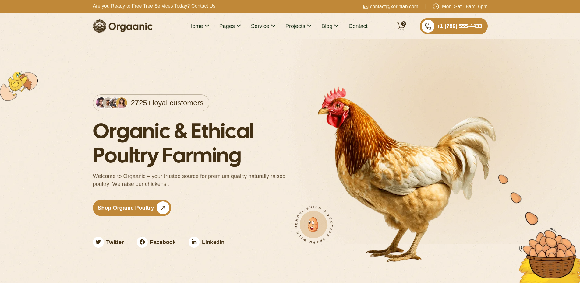 Orgaanic Home Farming and Organic Produce Website project screenshot 3