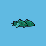 fish shoes