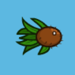 coconut fish
