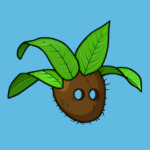 coconut leaves helmet