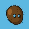 coconut helmet