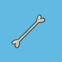 bone
