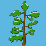 snow tree