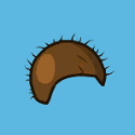 half coconut