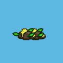 earth shoes