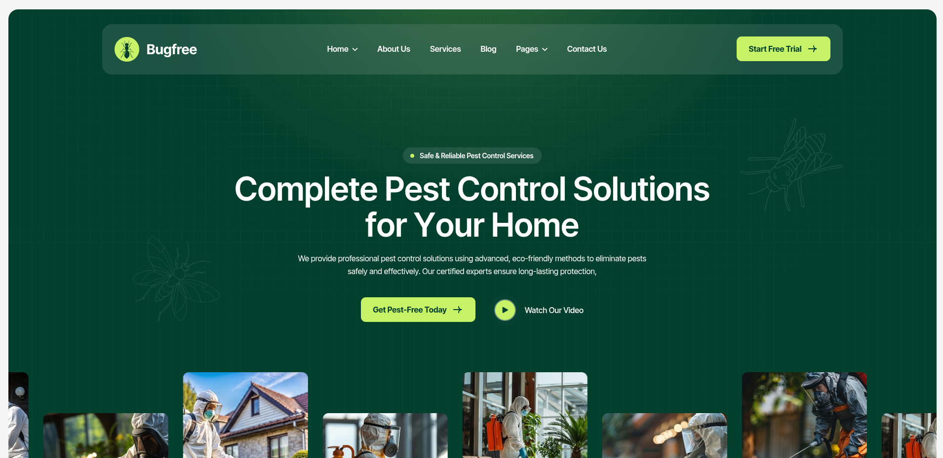 BugFree Quality Assurance Platform project screenshot 2