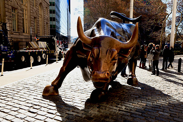 Bull