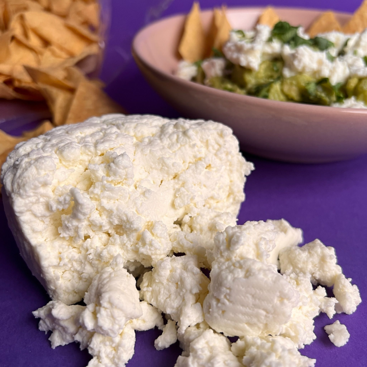 Queso Fresco