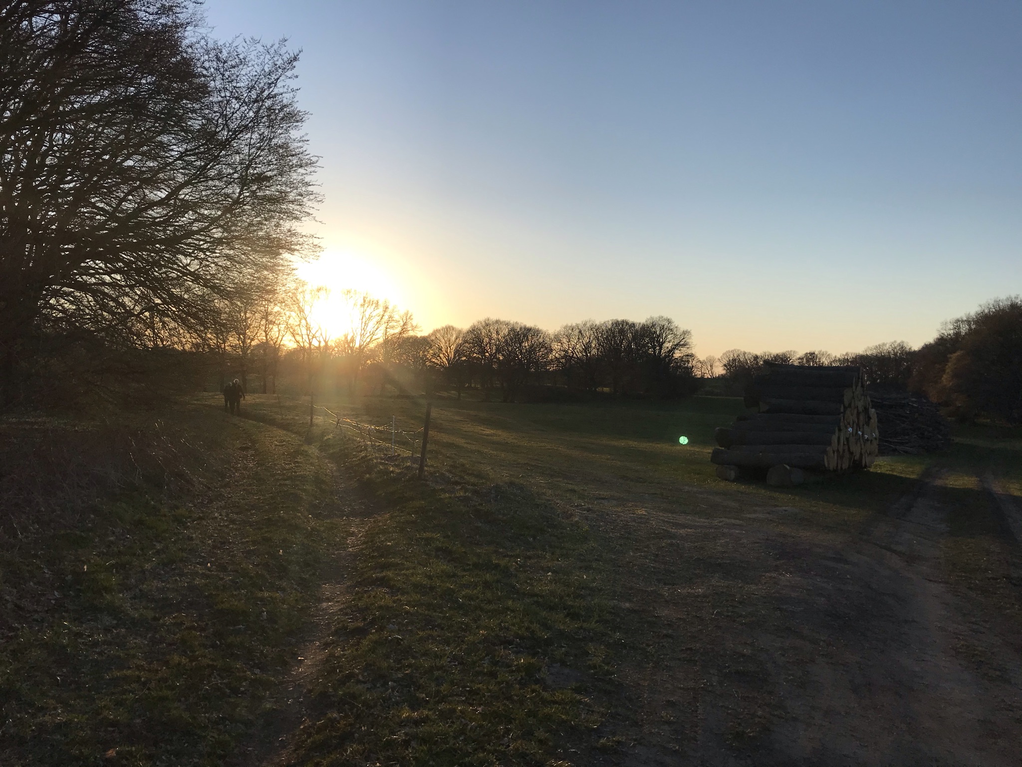Hiking trail next to field at sunset.