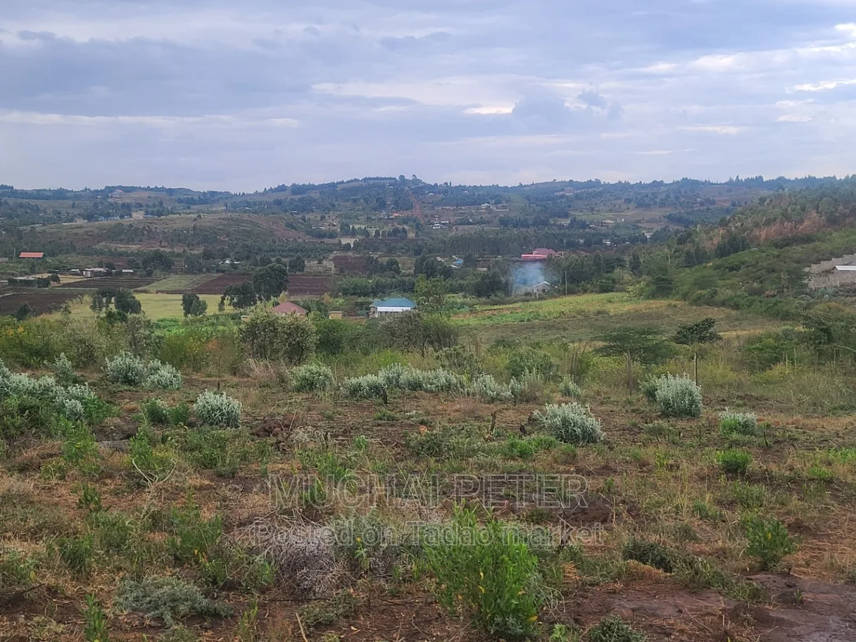 Kamangù, Ndigù-inì - Prime Plot 8