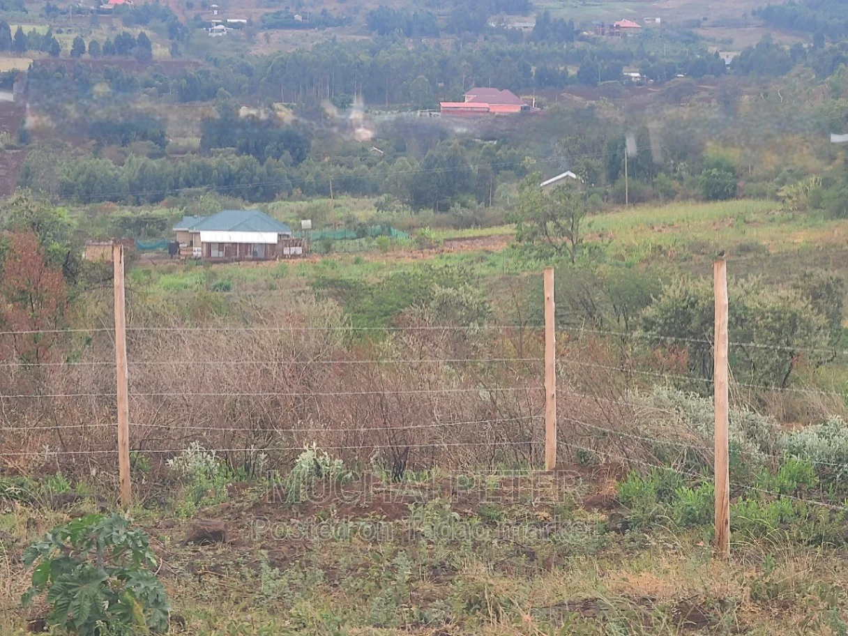 Kamangù, Ndigù-inì - Prime Plot 10