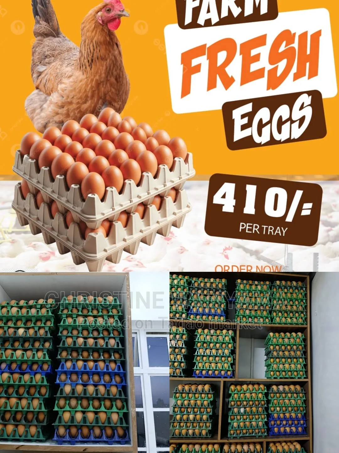 Eggs 🥚 for sale 2