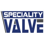 Electric Actuated Globe Valve Manufacturers in India