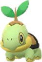 10 Turtwig Candy